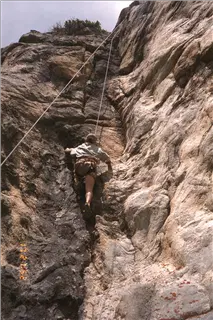 small_9608 3307 co utIMG0040.webp